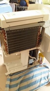 12963675_10154088532427604_250104816607054267_n