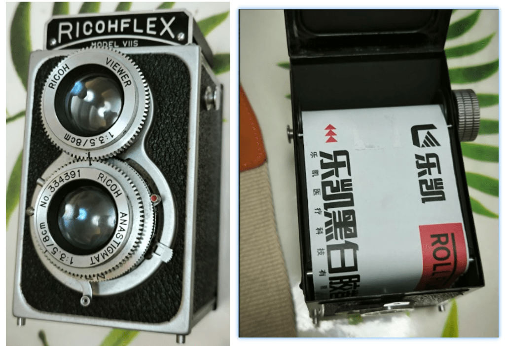 我的第14台相機-RICOHFLEX VIIS
